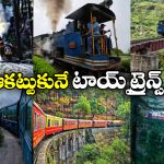 Indian Toy Trains: ఇండియాలో ఇన్ని టాయ్ ట్రైన్స్ ఉన్నాయా? ఒక్కసారైనా జర్నీ చేయాల్సిందే!