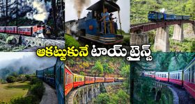 Indian Toy Trains: ఇండియాలో ఇన్ని టాయ్ ట్రైన్స్ ఉన్నాయా? ఒక్కసారైనా జర్నీ చేయాల్సిందే!
