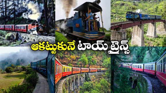 Indian Toy Trains: ఇండియాలో ఇన్ని టాయ్ ట్రైన్స్ ఉన్నాయా? ఒక్కసారైనా జర్నీ చేయాల్సిందే!