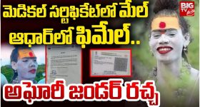 Lucky Plants: ప్రతి ఇంట్లో.. తప్పకుండా ఉండాల్సిన మొక్కలు !