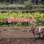 Farmers: రైతులకు గుడ్ న్యూస్.. రూ.5కే కరెంట్ కనెక్షన్..