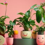 Plants For Summer: సమ్మర్‌లో.. వారాల తరబడి నీరు లేకుండా జీవించే మొక్కలు ఇవే !