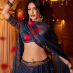 Nabha Natesh : ట్రెడిషినల్ లుక్ లో నభా.. యువరాణిలా భలే ఉంది కదూ..!!