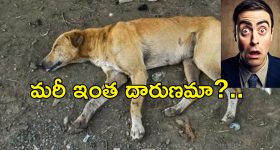 Puri Jagannadh: స్టార్ యాక్టర్ తో సినిమా సెట్టు...