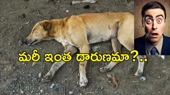 Stray Dog Abuse Bengaluru: ఛీ! కామాంధుడు.. కుక్కతో ఆ పని చేస్తూ పట్టుబడిన యువకుడు