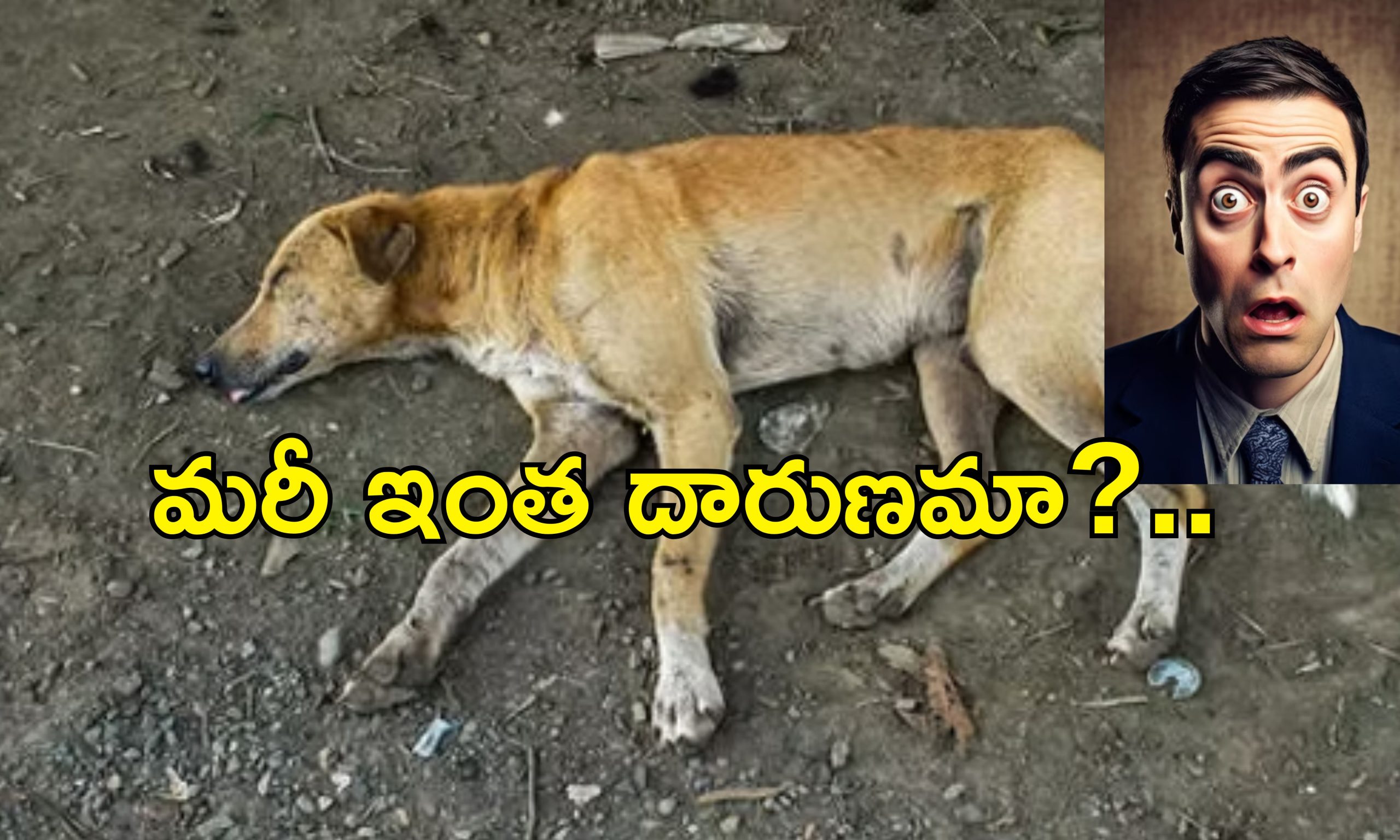 Stray Dog Abuse Bengaluru: ఛీ! కామాంధుడు.. కుక్కతో ఆ పని చేస్తూ పట్టుబడిన యువకుడు