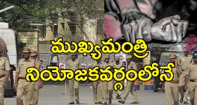 Weight-loss tea: బరువు త్వరగా తగ్గాలనుకుంటున్నారా? ఉత్తమ ఫలితాలు ఇచ్చే 5 రకాల టీలు ఇవిగో