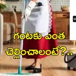 Urban Company Insta Maid: ఆన్‌లైన్‌‌లో పని మనిషి.. ఆర్డర్ చేస్తే 15 నిమిషాల్లోనే డెలివరీ