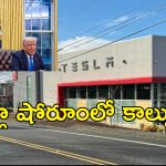 Tesla Showroom Attack : టెస్లా షోరూంలపై దాడులు.. ఎలాన్ మస్క్‌పై వ్యతిరేకతే కారణమా?..