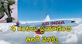 Priyanka Chopra : ప్రియాంకకు ఏకాంతంగా స్టోరీ నెరేషన్... డైరెక్టర్ నిర్వాకం బయట పెట్టిన గ్లోబల్ బ్యూటీ తల్లి