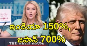 US India Tariffs: భారత్ లో అమెరికా మద్యంపై 150 శాతం, వ్యవసాయ ఉత్పత్తులపై 100 శాతం సుంకాలు.. అందుకే ప్రతీకారం!
