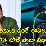 EV For Petrol Car Price: పెట్రోల్ కార్ల ధరకే ఈవీ కార్లు.. 6 నెలల్లోనే అందుబాటులోకి.. కేంద్ర మంత్రి ప్రకటన
