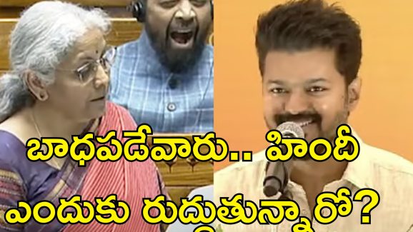 Thalapathy Vijay Nirmala Sitharaman: కేంద్ర మంత్రి నిజంగా అంత బాధపడుతున్నారా?.. సీతారామన్‌కు విజయ్ కౌంటర్..