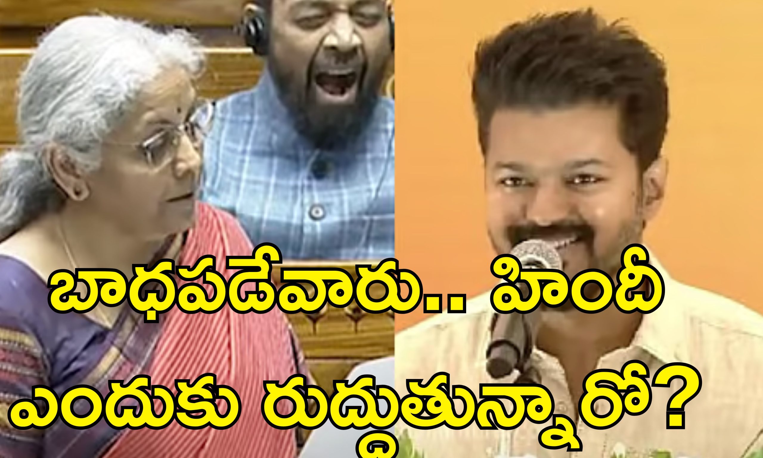 Thalapathy Vijay Nirmala Sitharaman: కేంద్ర మంత్రి నిజంగా అంత బాధపడుతున్నారా?.. సీతారామన్‌కు విజయ్ కౌంటర్..