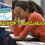 Green Card Indians Worried: గ్రీన్ కార్డ్ ఉన్నా పంపించేస్తారా?.. అమెరికాలో ట్రంప్ దెబ్బకు భయపడుతున్న భారతీయులు..