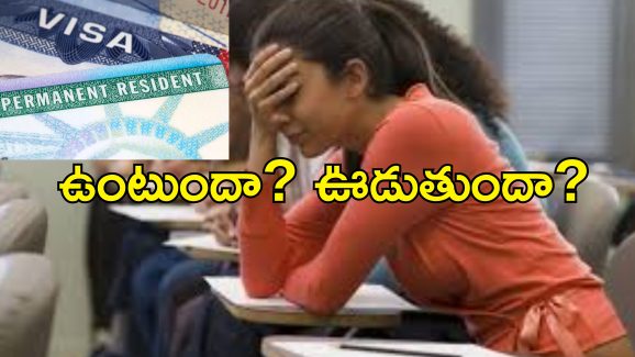 Green Card Indians Worried: గ్రీన్ కార్డ్ ఉన్నా పంపించేస్తారా?.. అమెరికాలో ట్రంప్ దెబ్బకు భయపడుతున్న భారతీయులు..