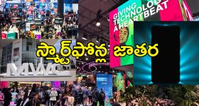 Mosquito Remedies: ఇలా చేస్తే.. ఇంట్లో ఒక్క దోమ కూడా ఉండదు, తెలుసా ?