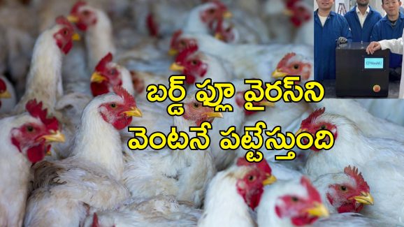 BirdFlu Detecting Device: గాల్లోనే బర్డ్‌ఫ్లూను పసిగట్టే పరికరం వచ్చేసింది.. 5 నిమిషాల్లోనే కనిపెట్టేస్తుంది