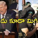 Trump Warning Hamas: ఇదే చివరి హెచ్చరిక.. బందీలందరినీ వెంటనే విడుదల చేయండి.. హమాస్‌కు ట్రంప్ వార్నింగ్