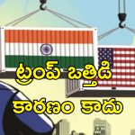 India Reduce US Tariffs: అమెరికాతో బలమైన సంబంధాల కోసమే, ఒత్తిడి వల్ల కాదు.. సుంకాల తగ్గింపుపై భారత్