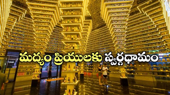 Beer Museum: ప్రపంచంలోనే అతిపెద్ద బీరు మ్యూజియం, ఇక్కడ ఎన్ని రకాల బీర్లు ఉంటాయో తెలుసా?