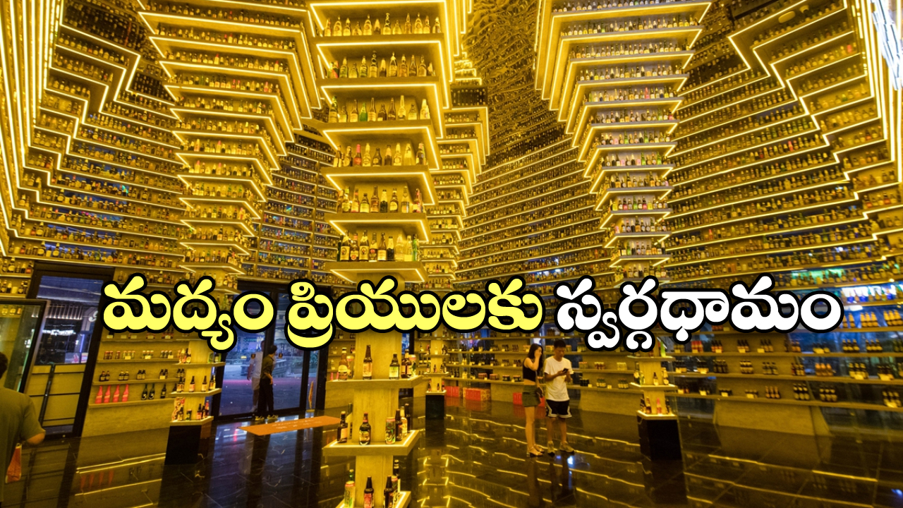 Beer Museum: ప్రపంచంలోనే అతిపెద్ద బీరు మ్యూజియం, ఇక్కడ ఎన్ని రకాల బీర్లు ఉంటాయో తెలుసా?
