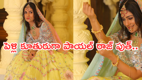 Paayal Rajput: పెళ్లి పీటలు ఎక్కబోతున్న పాయల్ రాజ్ పుత్.. మైండ్ బ్లాక్ అయ్యే ట్విస్ట్..