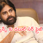 Pawan Kalyan: సినిమాల పై పవన్ షాకింగ్ నిర్ణయం.. 2025 ఫ్యాన్స్ కు గుర్తుండిపోతుందా..?