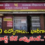 PNB Recruitment: బీటెక్ అర్హతతో 350 ఉద్యోగాలు.. భారీగా జీతం.. లాస్ట్ డేట్ ఎప్పుడంటే..?