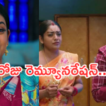 Karthika Deepam : వామ్మో.. ఒక్కరోజుకు వంటలక్క రెమ్యూనరేషన్ అన్ని లక్షలా..?