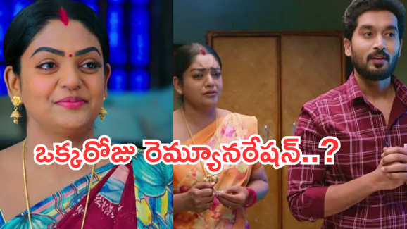 Karthika Deepam : వామ్మో.. ఒక్కరోజుకు వంటలక్క రెమ్యూనరేషన్ అన్ని లక్షలా..?