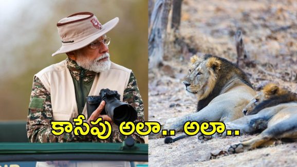 PM Modi in Gir safari: గిర్ సఫారీలో పీఎం మోదీ.. స్పెషల్ ఏంటి?