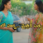 Satyabhama Today Episode : మహదేవయ్య కోసం క్రిష్.. మైత్రికి వార్నింగ్ ఇచ్చిన సత్య…