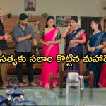 Satyabhama Final Episode Highlights : ఫైనల్ ఎపిసోడ్ లో ఊహించని ట్విస్ట్.. కథ సుఖాంతం..
