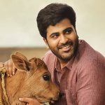Sharwanand Movies : బర్త్ డే ట్రీట్.. ఏకంగా మూడు సినిమాలు లైన్‌లో పెట్టిన శర్వా..