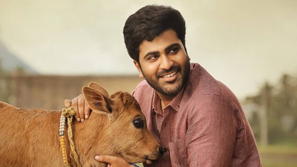 Sharwanand Movies : బర్త్ డే ట్రీట్.. ఏకంగా మూడు సినిమాలు లైన్‌లో పెట్టిన శర్వా..