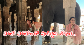 Hair Growth Serum: ఈ హెయిర్ సీరం వాడితే.. జుట్టు వద్దన్నా పెరుగుతుంది