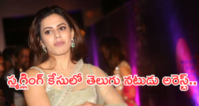 Ranya Rao : రన్యా రావు కేసులో మరో ట్విస్ట్.. తెలుగు నటుడు అరెస్ట్..