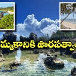 Tiny Island: ఆ అందమైన ఐలాండ్‌లో సిటిజన్‌షిప్ కావాలా? జస్ట్ రూ. 91 లక్షలు చెల్లిస్తే చాలట!