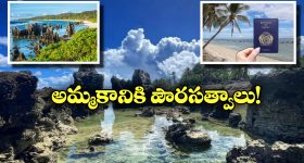 Tiny Island: ఆ అందమైన ఐలాండ్‌లో సిటిజన్‌షిప్ కావాలా? జస్ట్ రూ. 91 లక్షలు చెల్లిస్తే చాలట!