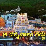 Tirumala News: వీఐపీ బ్రేక్ దర్శనాలు రద్దు..  శ్రీవారి సేవల టికెట్లు విడుదల