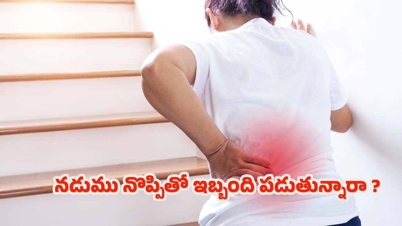 Back Pain: నడుము నొప్పి తక్షణమే తగ్గాలంటే.. ఇలా చేయండి