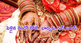 Meenakshi Natarajan: హైదరాబాద్‌కు మీనాక్షి నటరాజన్..  టార్గెట్ ఫిక్సయ్యింది?