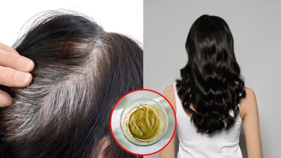 Henna Appling For White Hair: హెన్నాలో ఈ ఒక్కటి కలిపి వాడితే.. తెల్ల జుట్టు నల్లగా మారడం పక్కా !