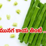 Drumstick Benefits: మునగ కాయ తింటే.. ఇన్ని లాభాలా ?