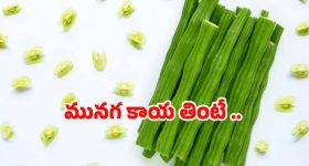 Chhaava Collections : తెలుగులో 'ఛావా'కు రికార్డ్ ఓపెనింగ్స్..ఎన్ని కోట్లంటే..?