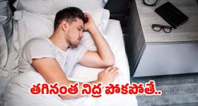 Raja Singh: రాజాసింగ్‌ సంచలన వ్యాఖ్యలు..  నేతల సీక్రెట్ సమావేశాలు