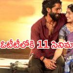 OTT Movies : ఈ వారం ఓటీటిలోకి అన్నీ హిట్ సినిమాలే.. ఆ ఒక్కటి వెరీ స్పెషల్..