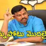 MLA Raja Singh: పార్టీ నేతలపై కీలక కామెంట్స్.. కుట్ర జరుగుతోందని ఆవేదన