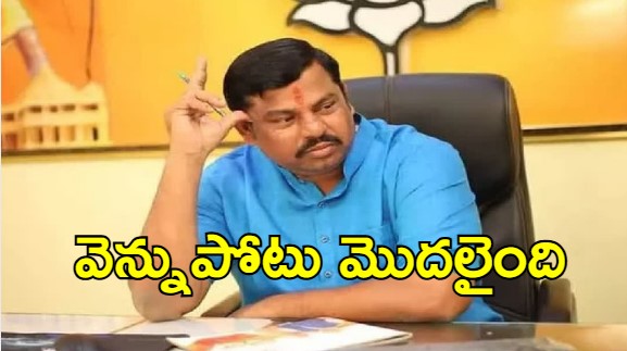 MLA Raja Singh: పార్టీ నేతలపై కీలక కామెంట్స్.. కుట్ర జరుగుతోందని ఆవేదన